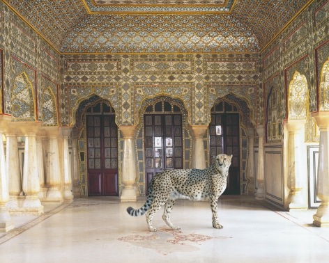 The Return of the Hunter, Chandra Mahal, Jaipur Palace, Jaipur, 2012, Archival pigment print