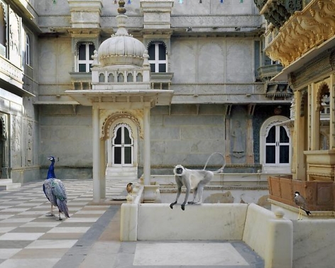 The Courtyard Conference, Dungarpur Palace.