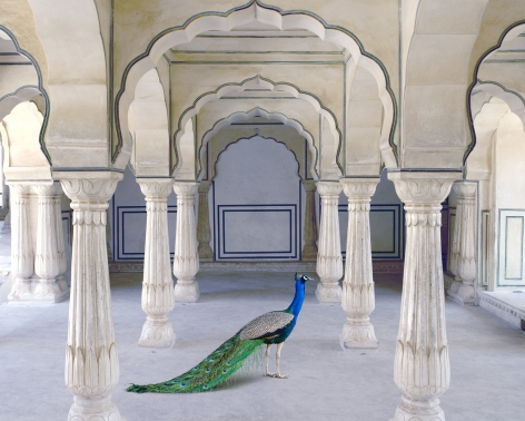 A Moment of Solitude, Amer Fort, Amer, 2021, Archival pigment print