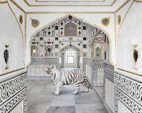 Tiger Breath, Sheesh Mahal, Amer Fort, 2020, 23.5 x 30 inch pigment print - Edition of 5