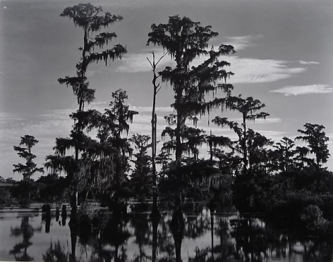 Louisiana, 1941.