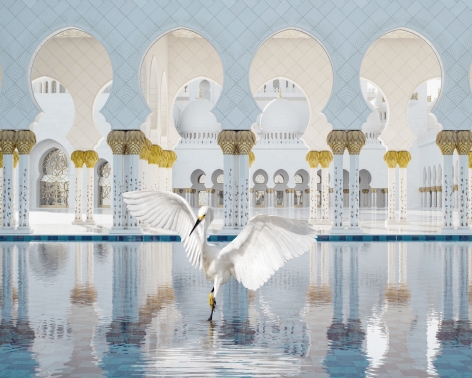 The Way of Ishq, Grand Mosque, Abu Dhabi, 2019, 48 x 60 inch archival pigment print