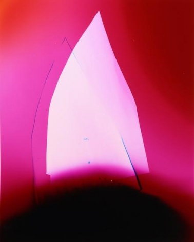  Pink Oracle, 2016&nbsp;, 	Analog Chromogenic Photo, Unique