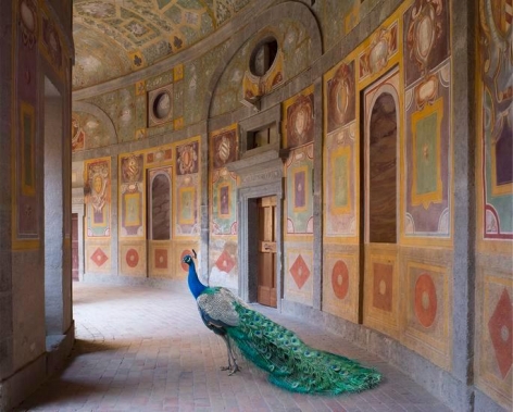  Heaven&#039;s Vault Villa Farnese, Caprarola, 	23.5 x 30 inch archival pigment print