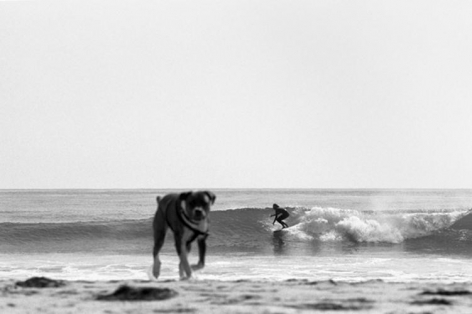  Kyle and Dog, 2013