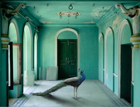  The Queen&#039;s Room, Zanana Palace, Udaipur, 2011, 	48 x 60 inch archival pigment print