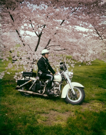 Springtime, Washington D.C.&nbsp;1965, 20 x 16 inch dye transfer print