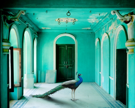 The Queen&#039;s Room Zanana, Udaipur City Palace, 2010, Archival pigment print